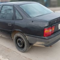 ١٩٩١ • بدون صبغ • رقم الماني