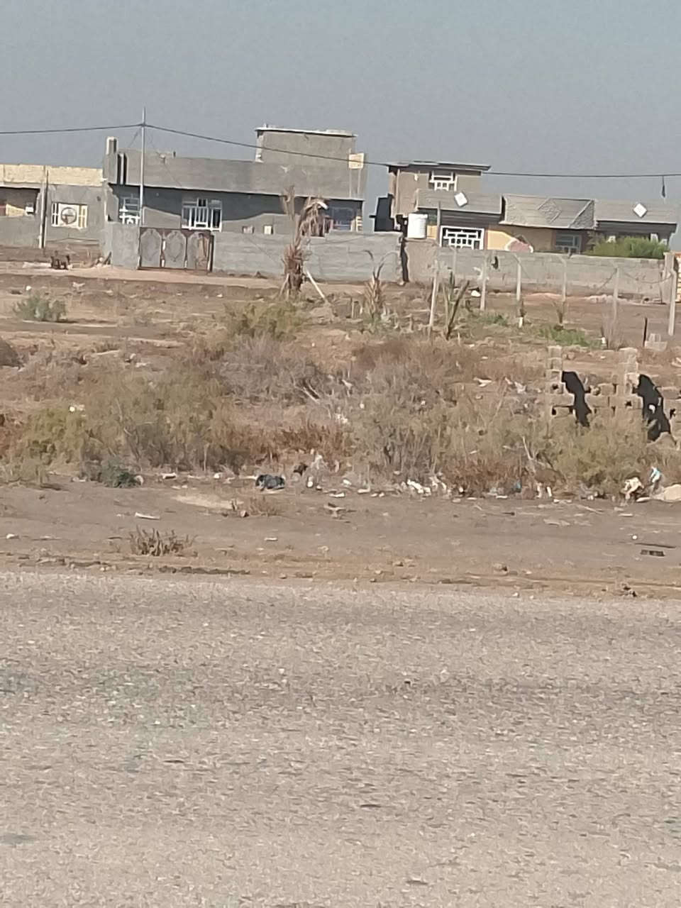 للبيع 350.   ***********
