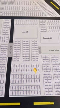 الطوبه والنخيله • ٢٥٠م • موظفين نفط