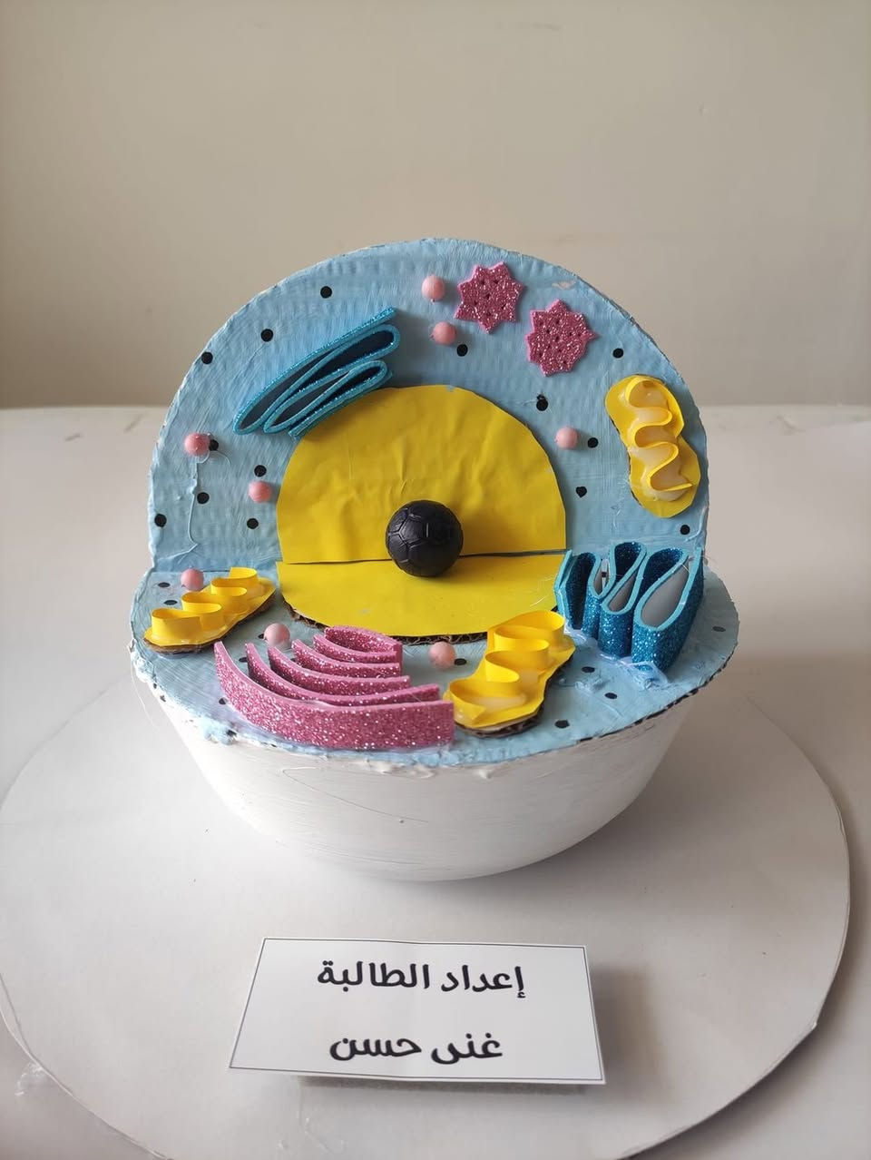 عملنا حسب الطلب يرجى الحجز مسبقا وللتواصل على الواتس آب 
*********** حلة, بابل
