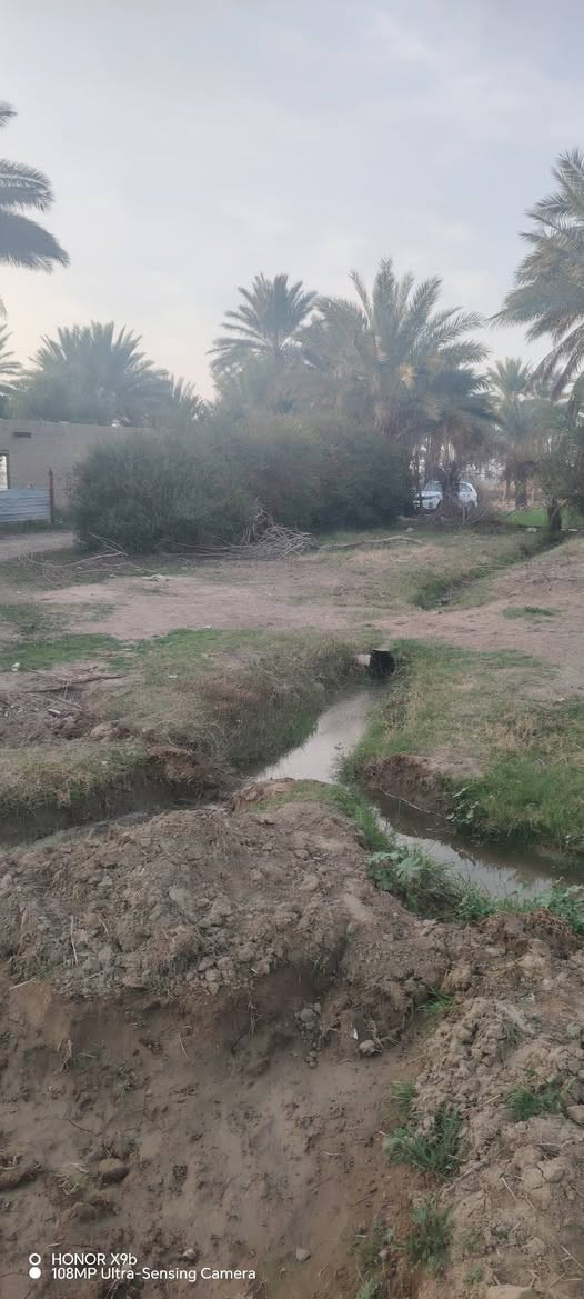 ارض زراعي للبيع قرب سد الفلوجه 
2 دونم الشارع 10متر الدونم 85 وبيه مجال
عقد زراعي مجدد
التواصل عل أرقم التاليه
ه‍‍ (***********)ه‍‍ (***********
