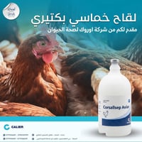 شركة اوروك لصحة الحيوان تقدم لقاح Corsallsep لقاح بكتيري متكامل صُمّم ...
