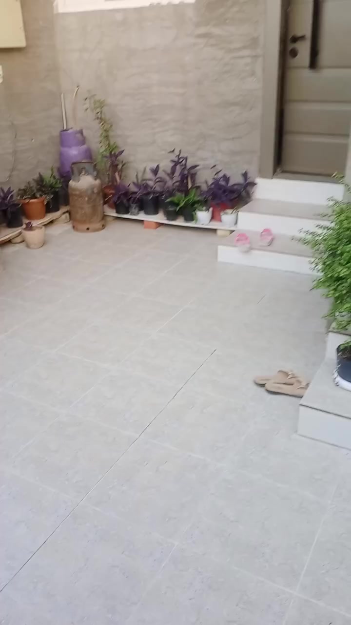 اسلام عليكم من رخصت مدير الكروب التفاصيل داخل الفديو ***********
