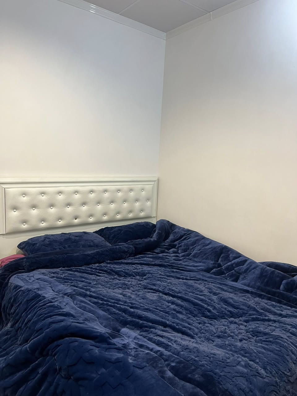 ئەم سیسەمە بە دۆشەکەوە بۆ فرۆشتن بی حەیبە
لەڕانیە..نرخ:١٠٠هەزار
***********
