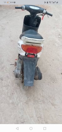 عصفورية • لايت شغّال • يحتاج باتري