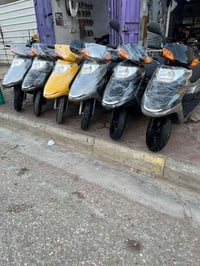 سبيسي ياباني • كفالة عامة • كوت تموز