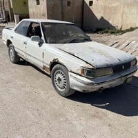 شيزر • ١٩٩١ • رقم نجف