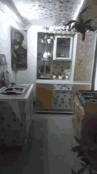 بيت للبيع • ٥٠م • لمطبع حواسم