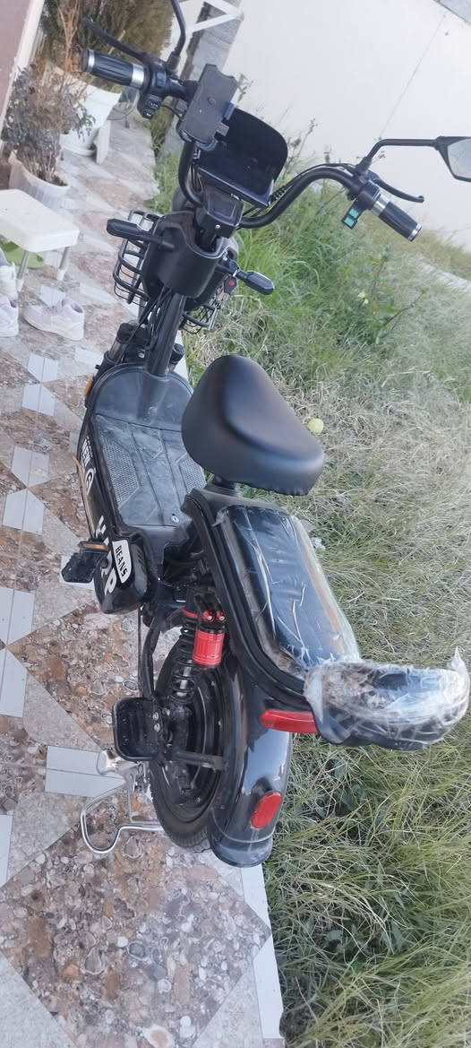 Happ 1000 w   مۆدێل 2025 زۆر خاوێنە هەمو شتی بە شەرت أربيل, العراق


**إذا كنت صاحب هذا الإعلان وتريد حذفه لأي سبب، رجاءا أرسل رسالة إلى الدعم الفني**