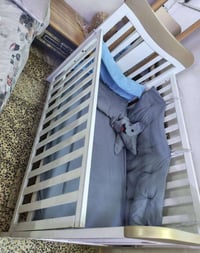 عفش أطفال • للبيع