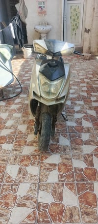 سكنس • نضيفة • هندر وسلف