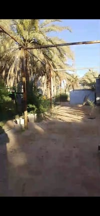 نص دونم • شارع البوبيات • الرشديه