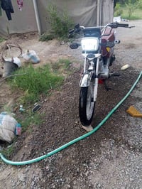 تايجر سونيك • ٢٠٢٤ • نايلون