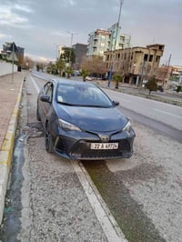 كورلا امريكي S • ٢٠١٧ • رقم بابل