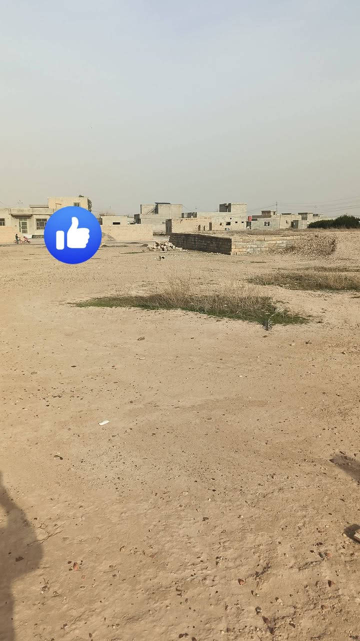 يا الله بسم الله الرحمن الرحيم
قطعة ارض ١٣٢٥ متر #زراعي #المكان العلم حي الصمد بالقرب من سوق الاحريم او عرب الفحل وبيت السيد المحافظ الخدمات كاملة مكملة بجانب بيت الدكتور الجامعي عامر المعجون  للعلم مساحتها توصل للـ١٣٦٠ متر تحتوي على مدخلين مدخل رئيسي من الامام ومدخل خلفي يصير كراج سيارات او باب حوش حسب رغبة المشتري 
الواجهة ١٧ متر و٤٠ سم 
النزال ٧٦متر و٨٠ سم
طبعا المدخل الخلفي بيه ٣٠ متر او اكثر ما داخل ضمن الحساب وكم متر ايضا مداخله ضمن المساحة 
مي كهرباء تبليط واكيد المنطقة كلش مرتبة وامنه .
سعر المتر ١٧ الف دينار اللي تعجبه اهلا وسهلا  عين غطا وعين فراش للتواصل على الارقام ادناه والله يرزق الجميع بغير حساب..
***********
***********
