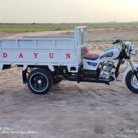 دايون • موديل ٢٠١٩ • أوراق أصلية