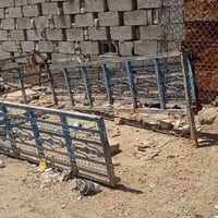 محجرات • بنكو • منغوليه