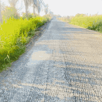 نص دونم استثمار
واجهه ١٧ ونزال ٧٤
وجه سده وجه شط 
بعد بوابه سطيح ب٥٠٠ متر 
عقد ٣٥ 
سعر 65 
***********
