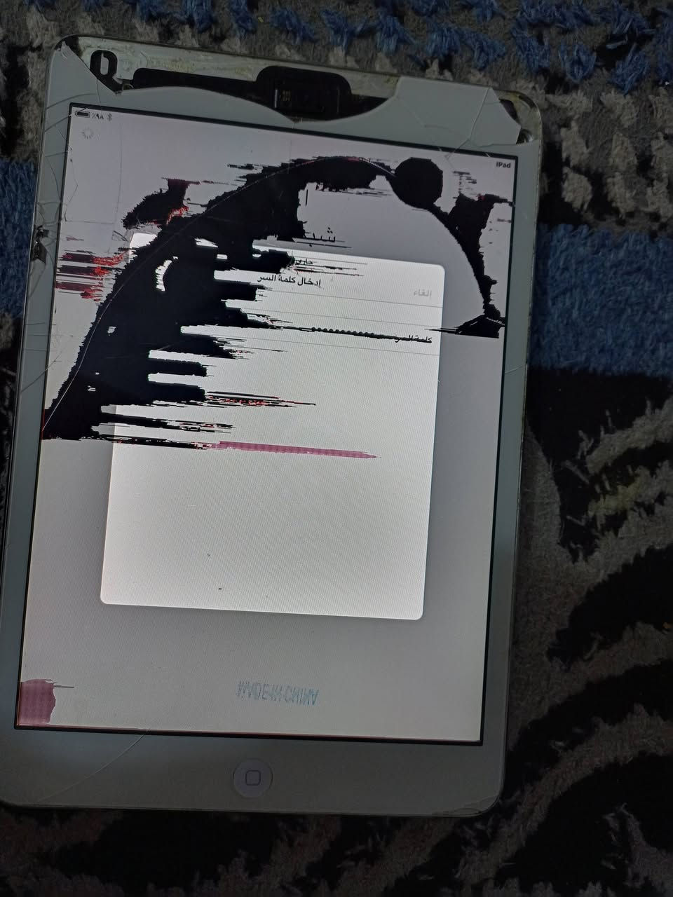 سلام عليكم ايباد 6 نظافه فول عاوزه الشاشه الذاكره 64


**إذا كنت صاحب هذا الإعلان وتريد حذفه لأي سبب، رجاءا أرسل رسالة إلى الدعم الفني**