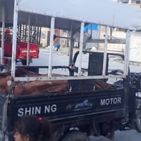 ستوته موديل ١٦ للبيع السسعر ٧٢٥ بي مجال  ٠٧٧٠٩٣٠٥٢١١