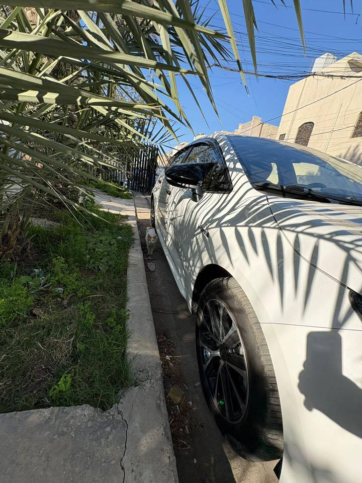 كورلا هايبرد وارد صين موديل 2024 بيه شخط موضح للصوره بلباب الخلفيه وكذلك رصعه خفيفه كلش هم بنفس الباب موضحه 
بلصور محرك 1800 هايبرد 
مواصفات السياره 
فتحه 
هندبريك بصمه 
اوتو هولد 
رادار 
توقف ذاتي 
كروس سرعه 
تحديد مسار 
اشاير بلمري 
تبريد قطعتين 
سياره نظيفه كلش ماشيه 10000 كيلو رقم بغداد 
مكانها بغداد الكرخ 
للاستفسار الاتصال عل رقم 
***********
