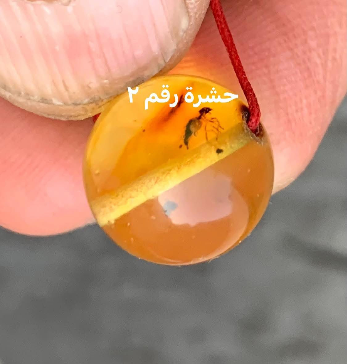 دولارين ونصف فقط
مسباح كهرب بلطيقي طبيعي يحوي حشرات منقرضة عمرها ملايين السنين الوزن ٦٥ غرام السعر ١٦٠ دولار مع التوصيل


**إذا كنت صاحب هذا الإعلان وتريد حذفه لأي سبب، رجاءا أرسل رسالة إلى الدعم الفني**