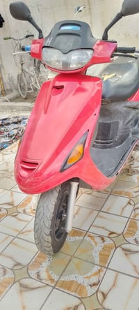 فراشة فحل • مامفتوح • سلف