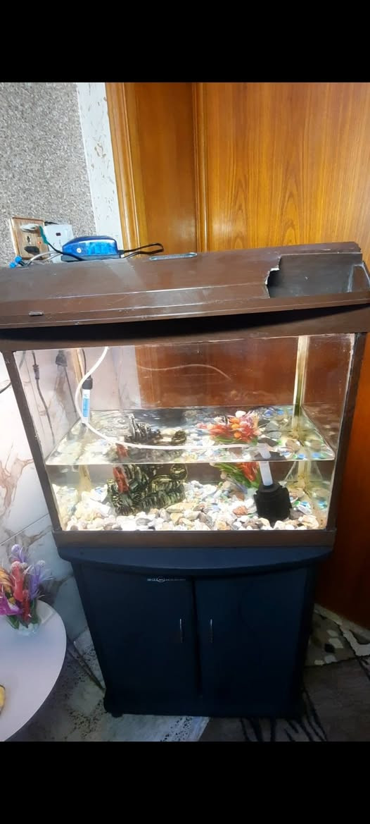 طباخ رويال مصري اخو جديد ب١٠٠
..حوضين سمج اثنين ب٨٠
تنورين غازي وكهربائي ب٣٥


**إذا كنت صاحب هذا الإعلان وتريد حذفه لأي سبب، رجاءا أرسل رسالة إلى الدعم الفني**