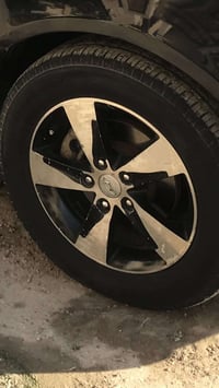 عندي تخم ويل كب هاذه لبل صوره حجم ١٦ للبيع السعر ٢٥٠ ٠٧٧٣٢٤١٤٩٤١