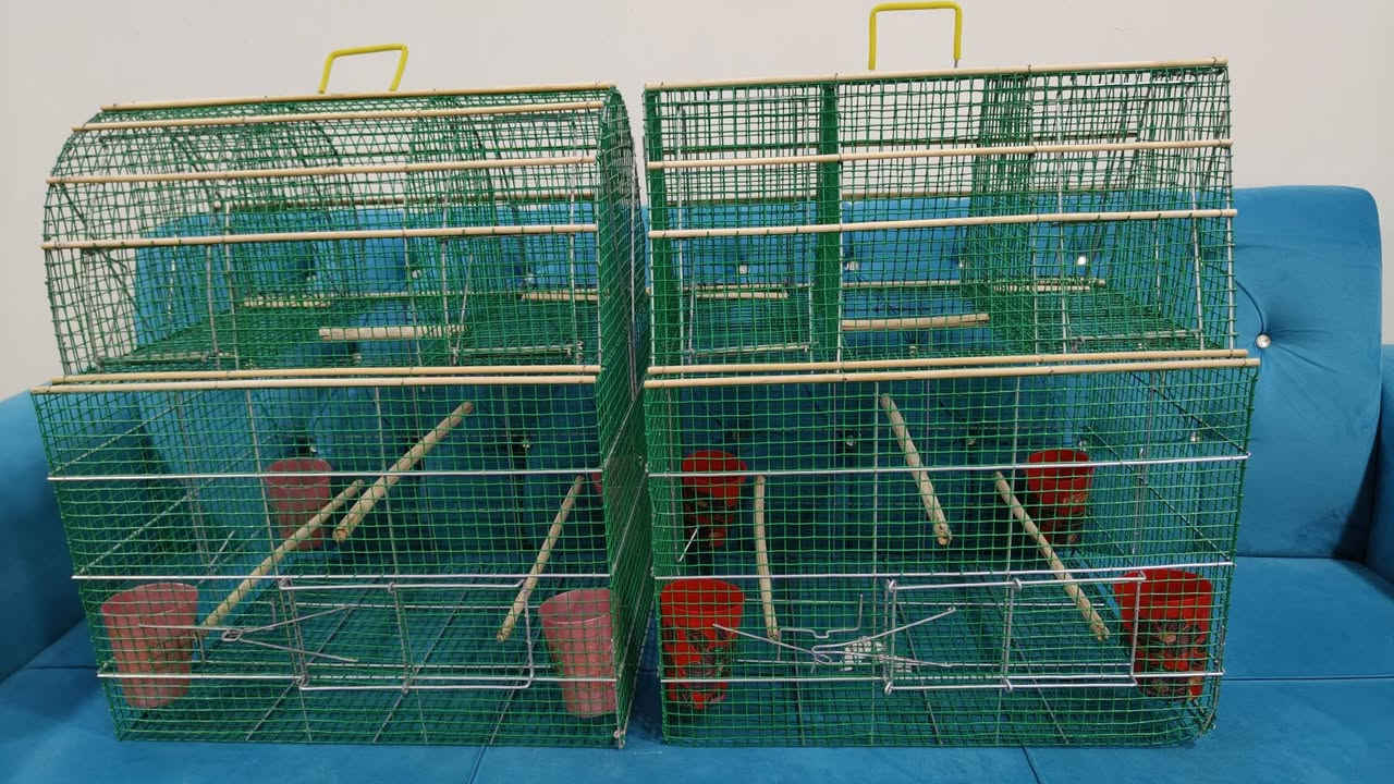 السلام عليكم ورحمه الله وبركاته عندي اقفاص مال صيد  اربعه فخ .. شغل درجه اولى مكاني نجف الاشرف) التواصل على رقم الهاتف ***********
