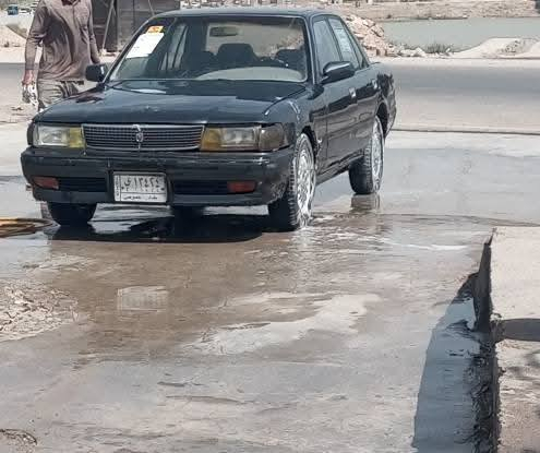 مارك كربلاءيه للبيع للمراوس سنوية 26 مكفوله من الكصه ونقل والضربه القويه السعر 38 للتواصل واتساب *********** مكاني البصرة قضاء المدينه المدينة, البصرة
