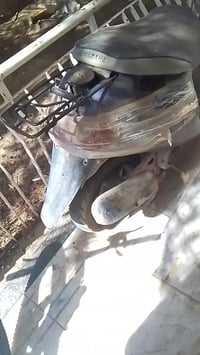 بتره • شغاله • خدميه