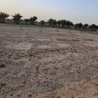 قريه السجاد العصريه • ٢٠٠م • سند ٢٥
