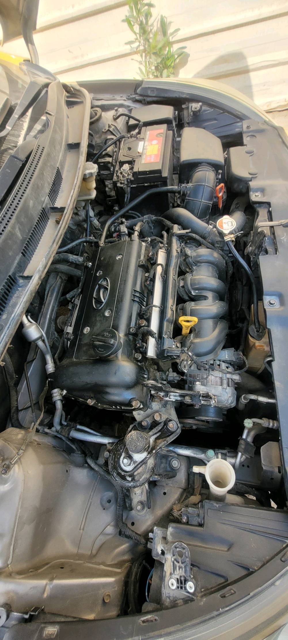 اكسنت موديل ١٣ خليجي
مكينه ١٦٠٠ دوش المرغوب
مكينه بدايه تبخير
كير مكفول صدر امامي خلفي جديد السياره مدوشمه ارضيه وكشنات وسقف وصندوق مرايه داخليه تسجيل الشارع الامامي والخلفي وداخل السيارة يعني تسجيل ٣ كاميرات 
تخم تاير نظيف 
باتري وسلف جديد منظمة بانزين جديده سياره كلش حلوه 
بأسمي رقم بغداد الدولي مصفرة هيئة وغرامات 
السعر ٧٥ $
مكاني بغداد الامين منطقة سكينه خلف بانزين خانه الجبهة 
رقمي ***********
اعتذر عن المراوس والخاص والاجابه بالتعليقات
