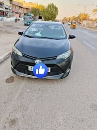 كورلا • ٢٠١٨ • وارد كندي