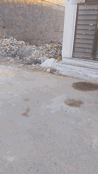 سلام عليكم بيت 50 متر النزال10الموقع عدل3..قريب على شارع العام ..تفاصيل البيت صالة مطبغ +حمام منور..طابق الثاني غرفة صالة +بيتونة كبيرة..التواصل على هذا رقم ***********
