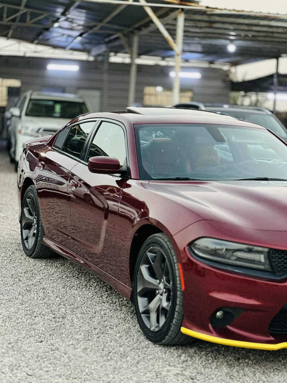 جارجر GT 19 خليجي فول شركة هارلم مكفوله رقم بغداد للبيع او مراوس تاهو او لاندكروزر


**إذا كنت صاحب هذا الإعلان وتريد حذفه لأي سبب، رجاءا أرسل رسالة إلى الدعم الفني**