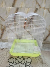 قفص • بابل سده الهنديه • العلكايه