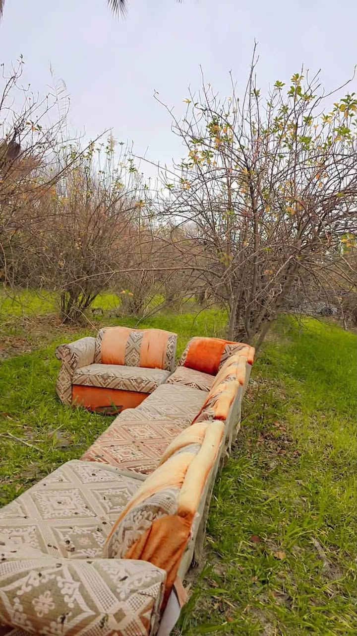 يا الله السلام عليكم ارض زراعيه ع ٢٥المساحه دونمين بستان مشجر كامل يم الجسر مال برينج.  قريبه ع تبليط ولدرب الي يطب عليهة سبيس يمهة كهرباء او مي سكي او اساله او مدرسه قريبه عليهة كاع حلوه ومرتبه او بل عافيه ع ياخذهة هاذا رقمي اتصل او بيك خير ودلل ***********
