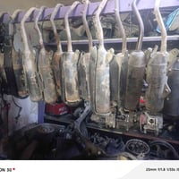 صالنصات جبلي فحل ثعلب اتصال 07768388139