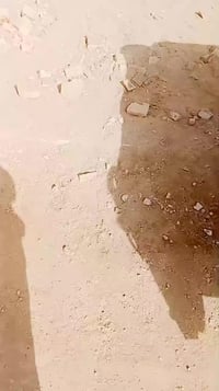 اسيد احمد • الشطرة • عقار للبيع