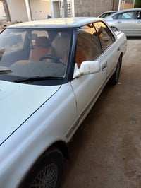 مارك كصيف • مكفوله • بيها مجال