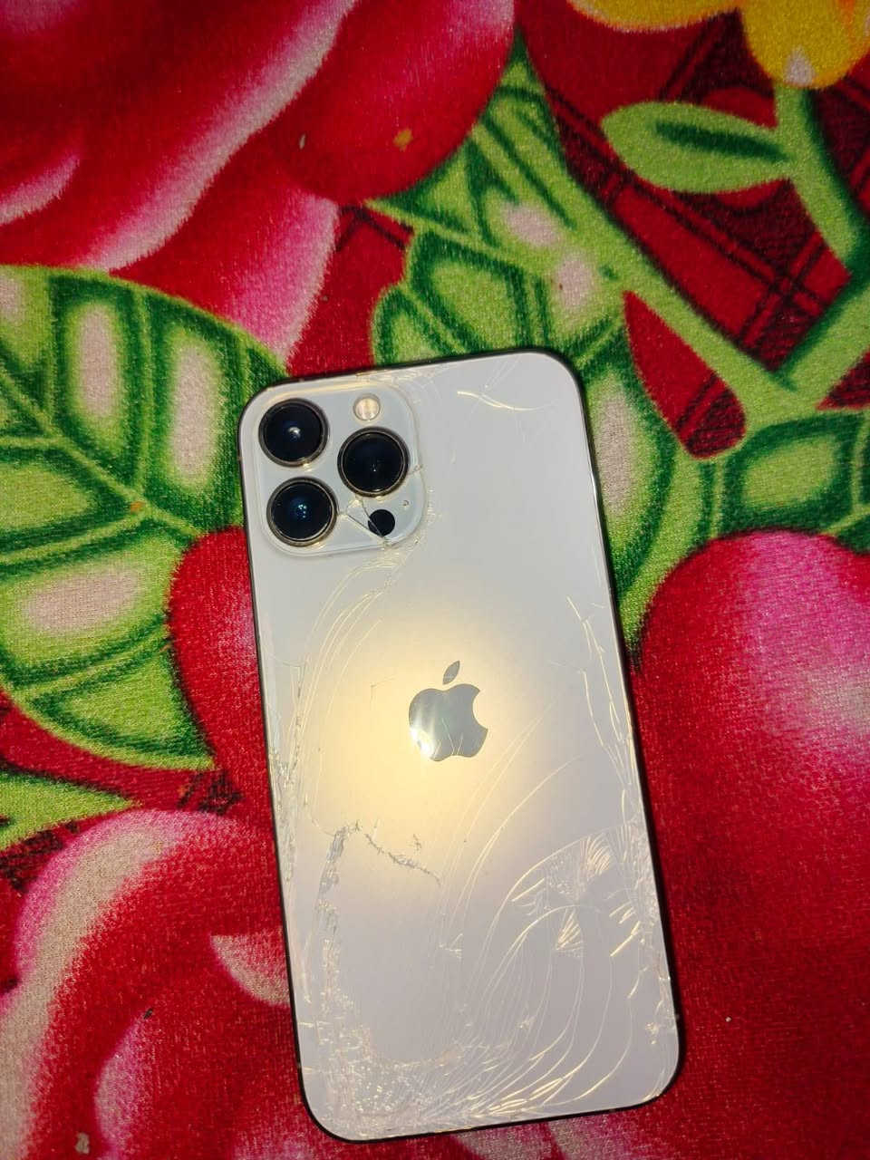 13 برو ماكس وتر بروف. ذاكره 256بس ظهر مفطور شغال مامفتوح بطاريه 80اخر تحديث السعر 600


**إذا كنت صاحب هذا الإعلان وتريد حذفه لأي سبب، رجاءا أرسل رسالة إلى الدعم الفني**