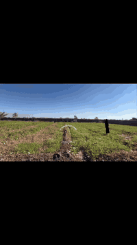 عـلـى بـركـة الـلـه عـرض جـديـد و فـرصـة اسـتـثـمـاريـة جـديـدة🔥 الـتـ...