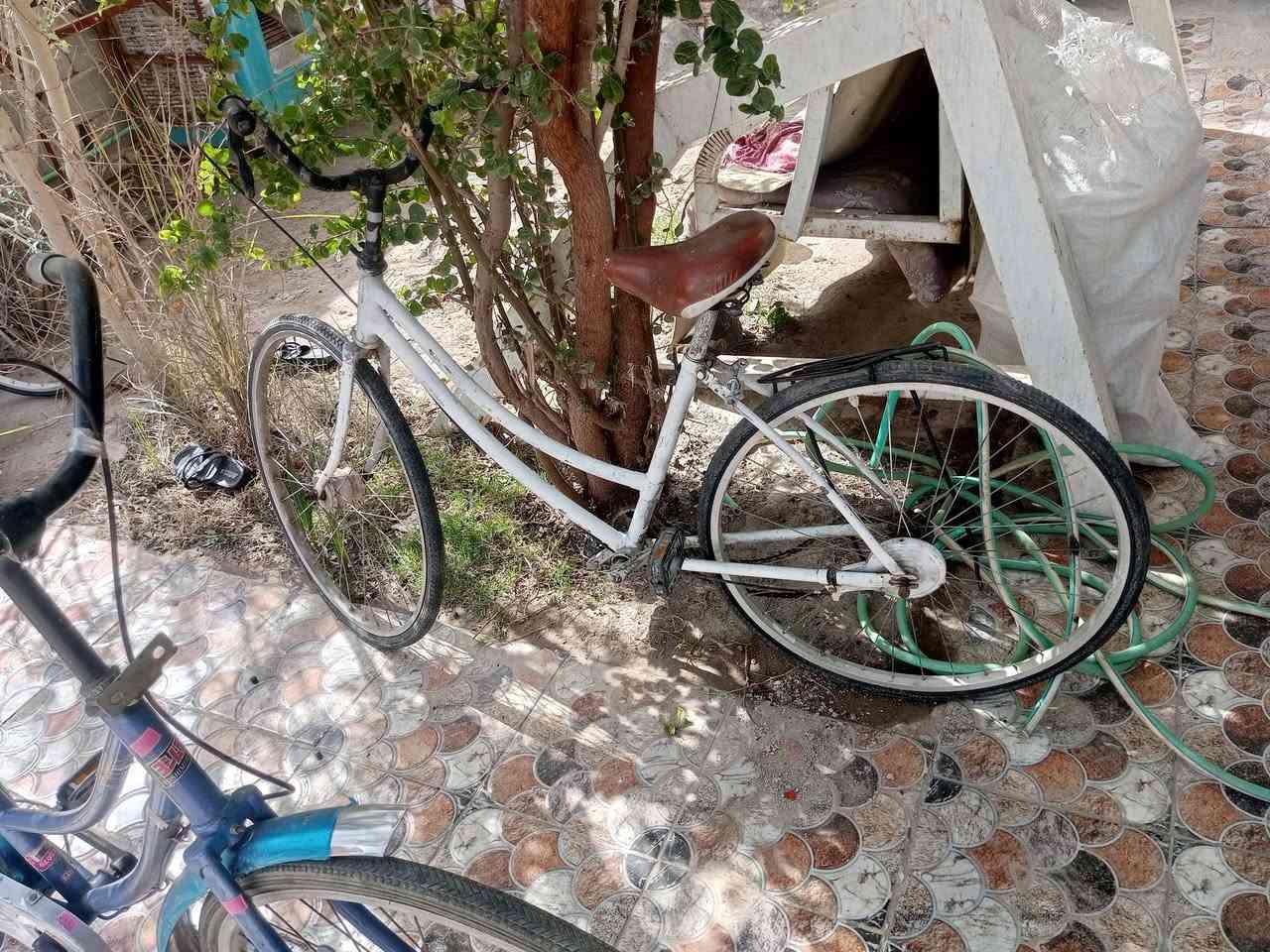 باسكلات باله السنيه حي العسكري


**إذا كنت صاحب هذا الإعلان وتريد حذفه لأي سبب، رجاءا أرسل رسالة إلى الدعم الفني**