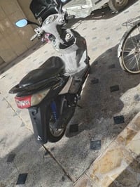 سكنس فحل • مامفتوح • زينون