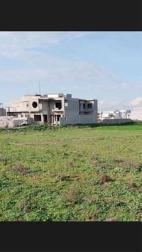 حاوي الكنيسه مقابل الملعب • ١٩٧م • زراعي