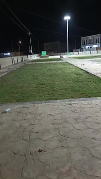 🌳 ثيل طبيعي من أجود الأنواع.. خضرة تدوم وأناقة تبهج! 🌳 مناسب للاستخدام...