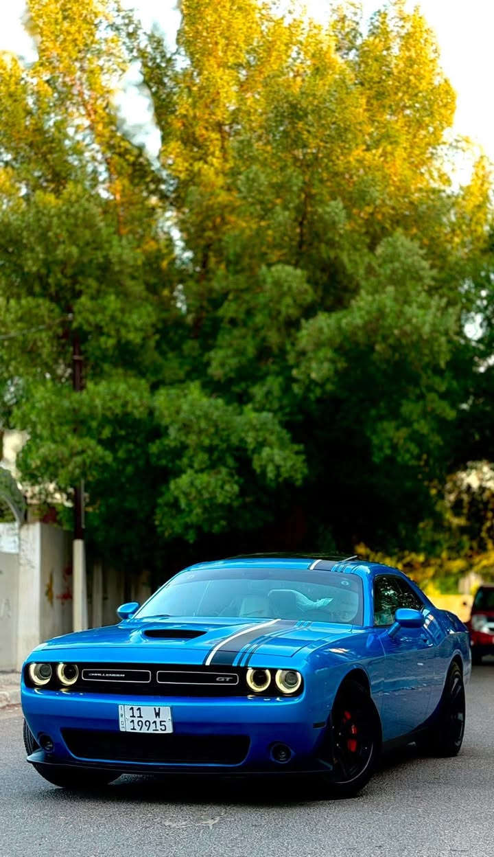 جالنجر 2019 GT Plus Special Edition جي تي بلص
وكالة ليث العبيدي 
رقمه مميز 19915 بأسمي تحويل ثاني يوم
بيه تكحيل كارت وره التاير الامامي من جوه فقط
وصبغ بالداعاميه الاماميه 
كفاله من الحادث والضربه والتبديل والفتح
فول مواصفات للاخير
ماشيه 69 ميل
كير ومحرك بلاديات ممفتوحات
فتحة سقف
تشغيل عن بعد
بصمة ابواب 
كشنات جلد
كشنات كهرباء
شاشه حبيره كار بلي
فول تحكم استيرن
شفتات استيرن
كامرا خلفيه
حساسات
شاشة اعطال وكيجات
دبل دمام خلفي بلادي هارمن كاردن
السياره جديده بمعنى الكلمه ومصروف عليه هواي 
جاهزه كير ومحرك وحداديه وتبريد وتدفئه
ناصبه واحله من الصور ولونه مميز 
السعر 215 وبيه مجال

***********
