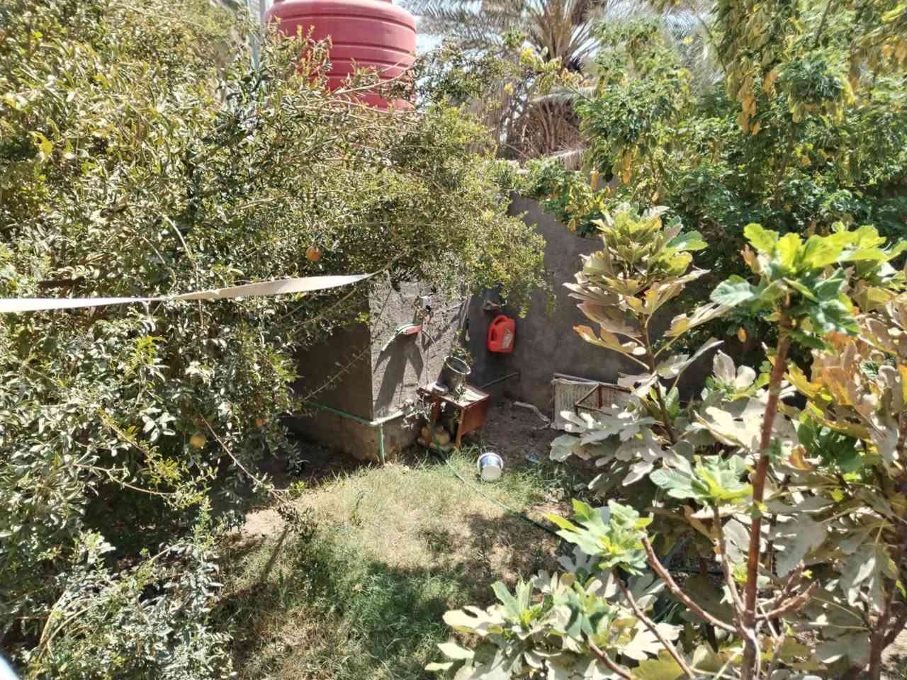 سلام عليكم 
بيت للبيع مساحة 250متر بناء كامل
يتكون من غرفتين مطبخ صحيات داخليه وخارجيه 
المكان منطقة البوحسين نزلة ام الهوش الجديده
البقيه تفاصيل خاص او ع واتساب 
***********
